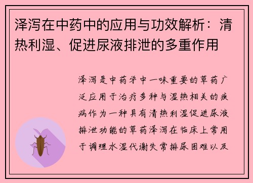 泽泻在中药中的应用与功效解析：清热利湿、促进尿液排泄的多重作用