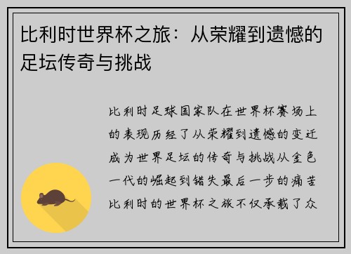 比利时世界杯之旅：从荣耀到遗憾的足坛传奇与挑战